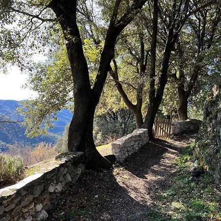 Les Gites D'Ardaillers Valleraugue Εξωτερικό φωτογραφία