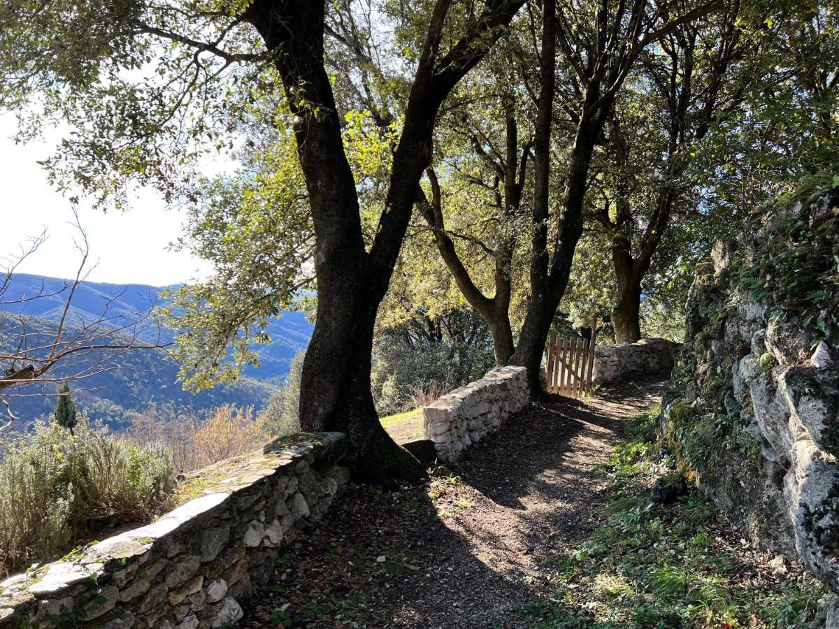Les Gites D'Ardaillers Valleraugue Εξωτερικό φωτογραφία