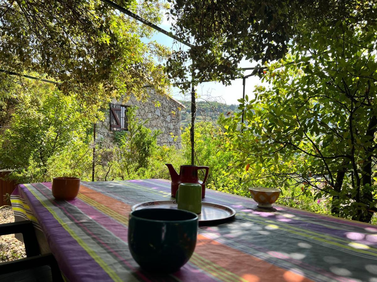 Les Gites D'Ardaillers Valleraugue Εξωτερικό φωτογραφία