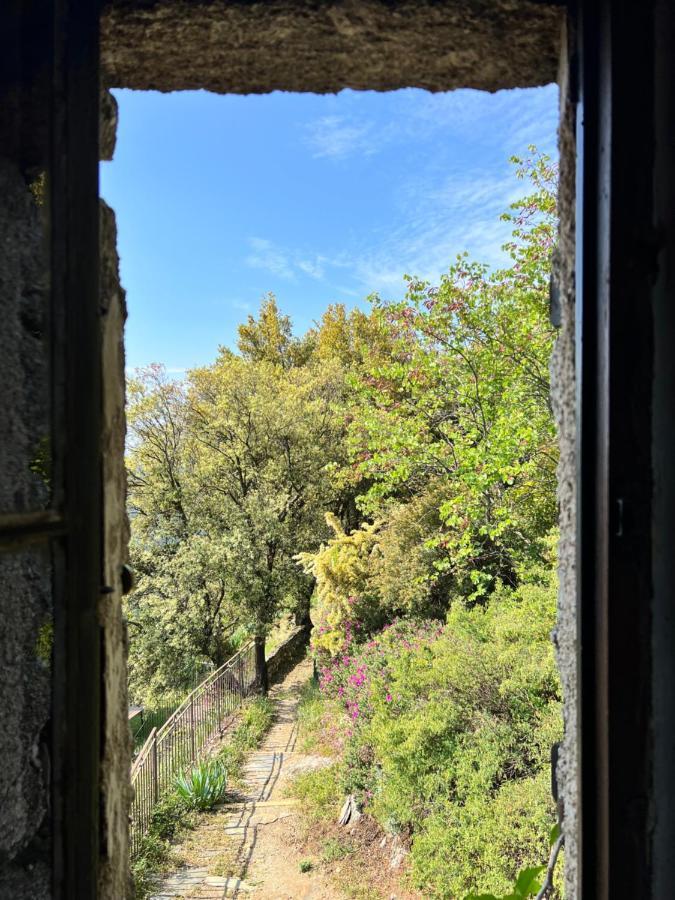Les Gites D'Ardaillers Valleraugue Εξωτερικό φωτογραφία