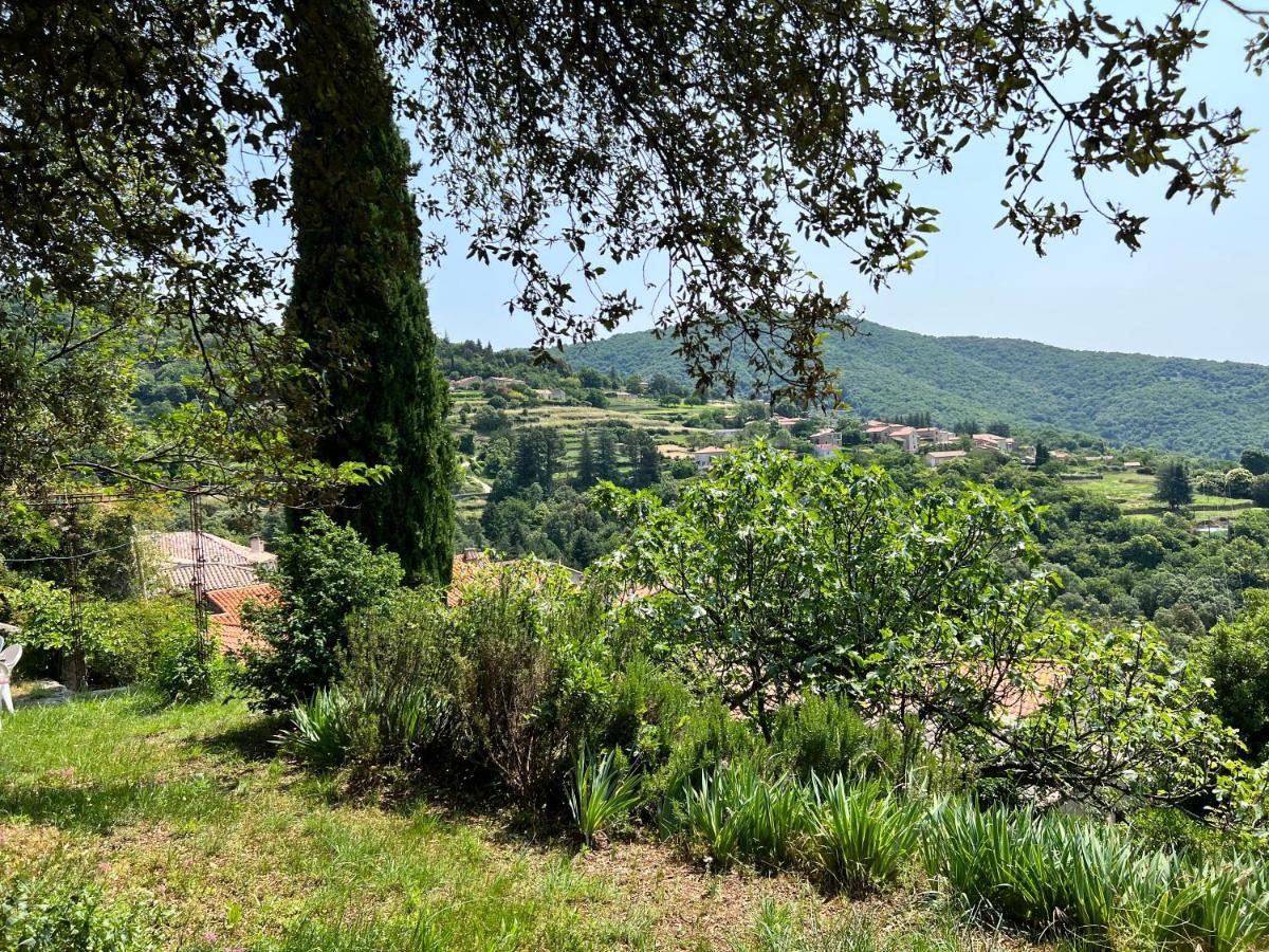 Les Gites D'Ardaillers Valleraugue Εξωτερικό φωτογραφία