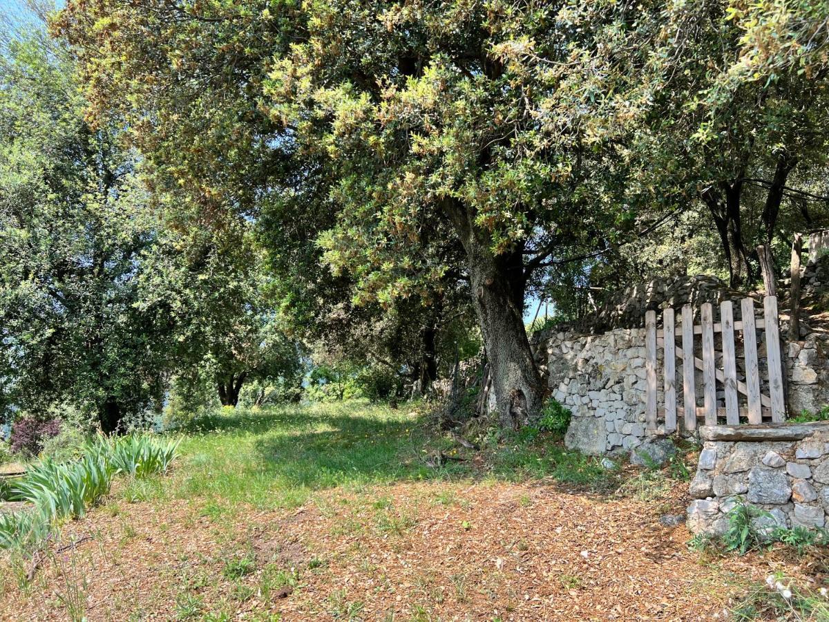 Les Gites D'Ardaillers Valleraugue Εξωτερικό φωτογραφία